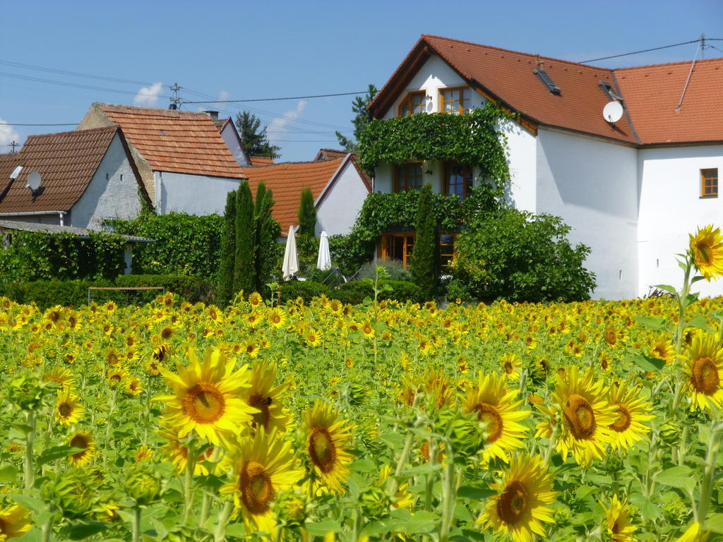 Landhotel Kallstadt Dış mekan fotoğraf